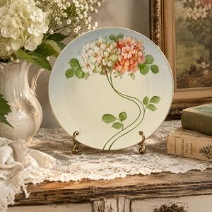 Antique Z.S. & Co Bavaria Hand Painted Floral Cabinet Plate German Porcelain